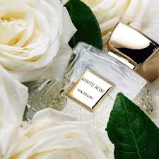 White Rose by Majouri